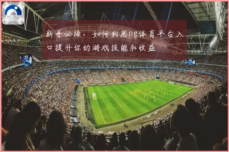 新手必读，如何利用ng体育平台入口提升你的游戏技能和收益