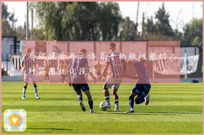 有效提升开云体育手机版性能的几种实用优化技巧